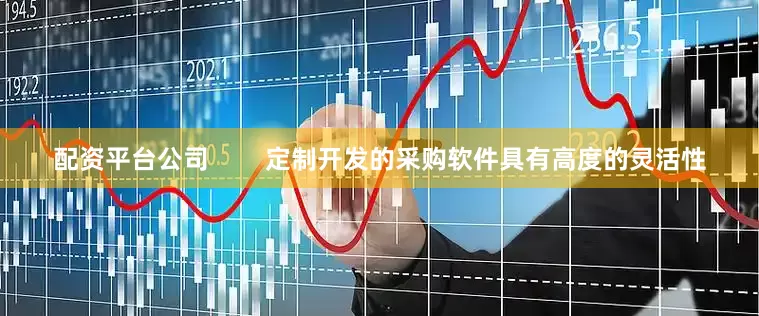 配资平台公司        定制开发的采购软件具有高度的灵活性